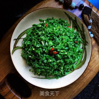 炝拌南瓜苗的做法步骤：9