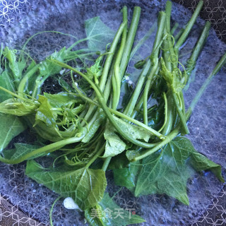 南瓜苗拌擀面皮的做法步骤：3