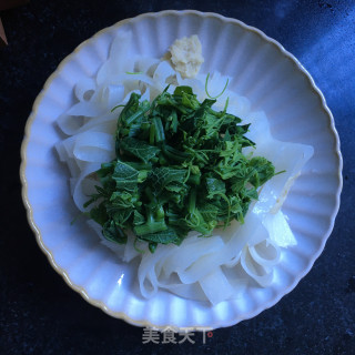 南瓜苗拌擀面皮的做法步骤：5