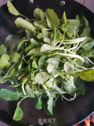素炒鸡毛菜的做法步骤：3