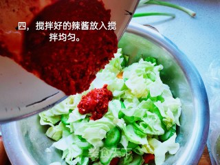 卷心菜泡菜的做法步骤：4