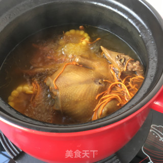 玉米虫草花炖鸽子的做法步骤：11
