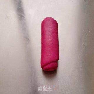 火龙果蝴蝶结面包的做法步骤：16