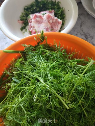 茴香猪肉馅水饺的做法步骤：1