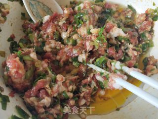 茴香猪肉馅水饺的做法步骤：5