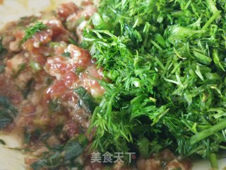 茴香猪肉馅水饺的做法步骤：6
