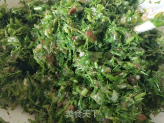 茴香猪肉馅水饺的做法步骤：7