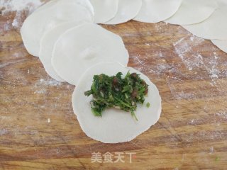 茴香猪肉馅水饺的做法步骤：8