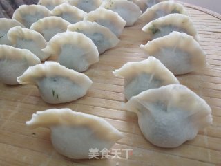茴香猪肉馅水饺的做法步骤：9