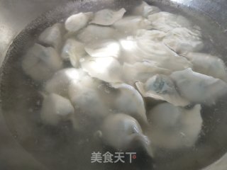 茴香猪肉馅水饺的做法步骤：10
