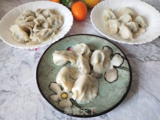 茴香猪肉馅水饺的做法步骤：12