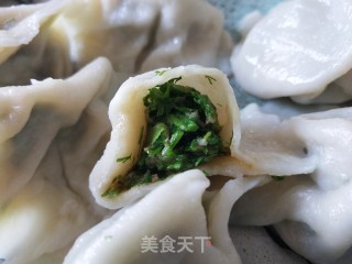 茴香猪肉馅水饺的做法步骤：13