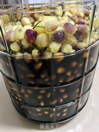 酱香七彩椒(泡七彩辣椒）的做法步骤：4