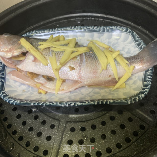 清蒸鲈鱼的做法步骤：3