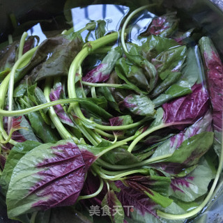 爆炒苋菜的做法步骤：1