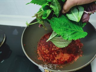 酱香紫苏叶的做法步骤：3