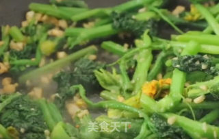 蒜蓉南瓜苗的做法步骤：4