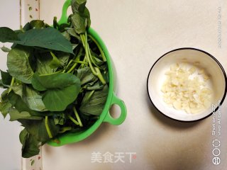 蒜香红薯叶的做法步骤：2