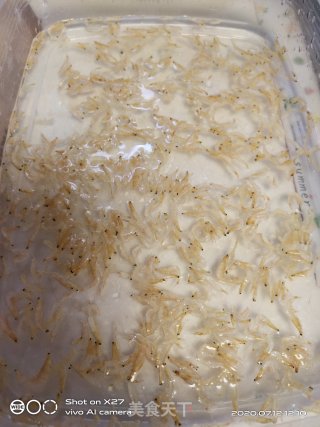 虾米日本豆腐蒸蛋的做法步骤：5