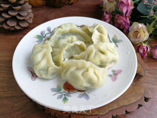 猪肉黄瓜韭菜饺的做法步骤：14