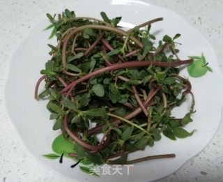 凉拌马齿苋的做法步骤：2