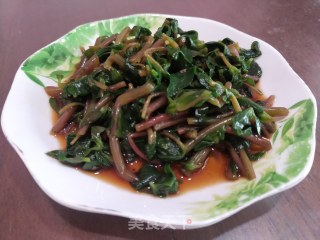 凉拌马齿苋的做法步骤：5