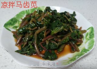 凉拌马齿苋的做法步骤：6