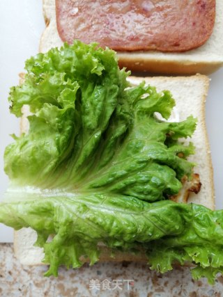 午餐肉三明治的做法步骤：7