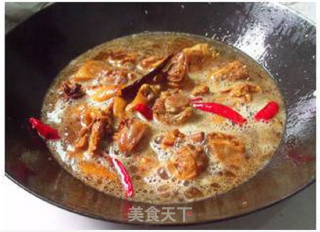 啤酒鸭的做法步骤：5