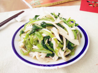 酸爽杏鲍菇拌菠菜的做法步骤：9
