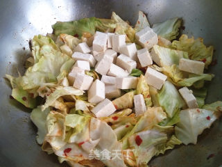 圆白菜辣豆腐的做法步骤：5