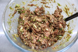 羊肉萝卜饺子的做法步骤：8