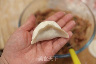 羊肉萝卜饺子的做法步骤：13