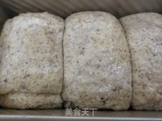 燕麦面包的做法步骤：5