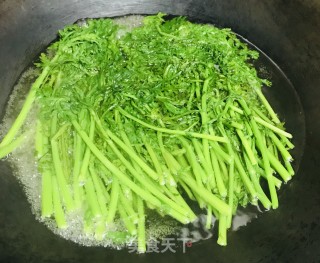 油泼茼蒿菜的做法步骤：5