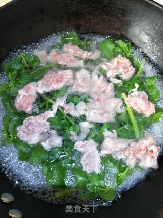 马齿苋滑肉汤的做法步骤：5