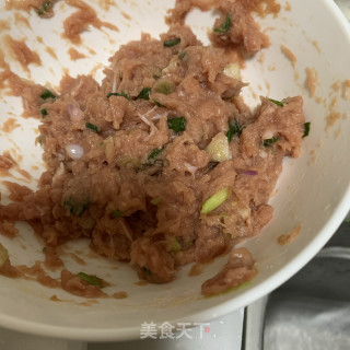 肉酿蛋饺的做法步骤：5