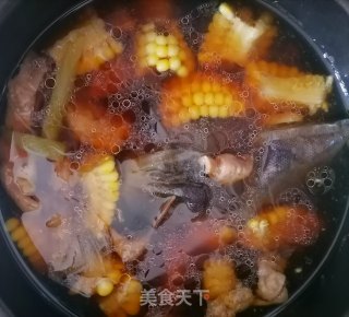 老鸭八珍玉米汤的做法步骤：5