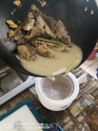 野生鲫鱼汤的做法步骤：8