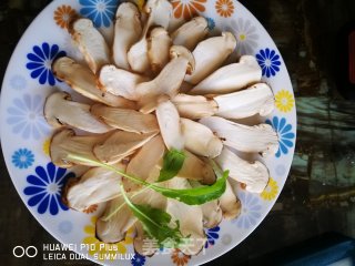 松茸系列（一）  干煎松茸的做法步骤：5