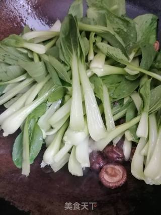 香菇青菜的做法步骤：4