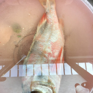 “酸爽开胃美食”酸豆角炖红石斑的做法步骤：1