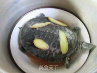 清蒸甲鱼的做法步骤：7