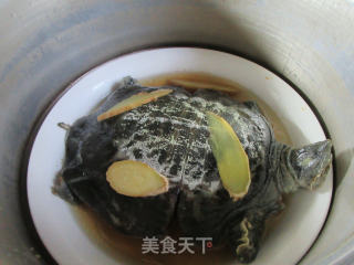清蒸甲鱼的做法步骤：9