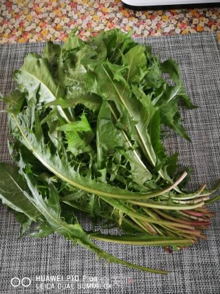 肉丝蒲公英的做法步骤：1