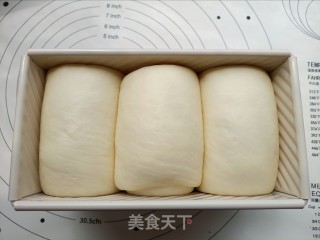 只需一次发酵的吐司的做法步骤：8