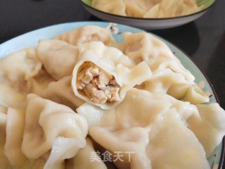 香菇鸡肉馅饺子的做法步骤：10
