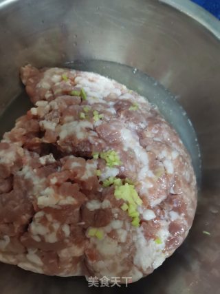 纯肉馅饺子的做法步骤：4