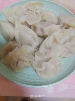 纯肉馅饺子的做法步骤：12