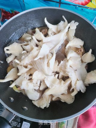 三黄鸡炖蘑菇的做法步骤：12